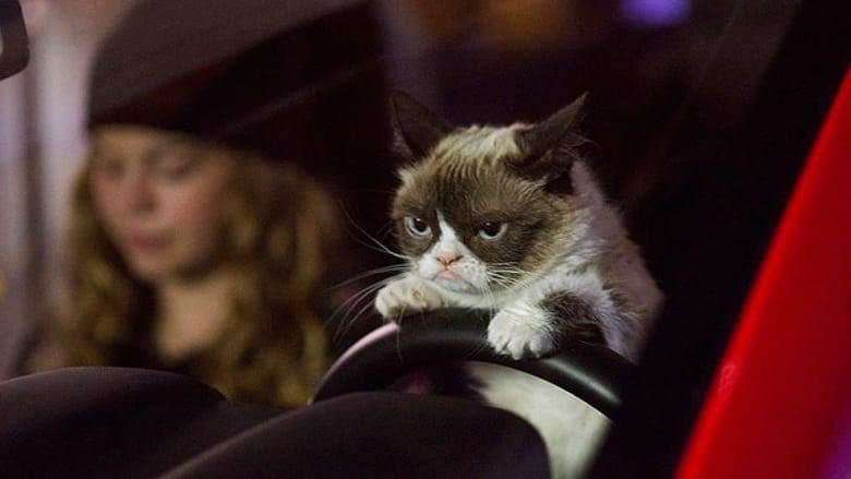 Grumpy Cat's Worst Christmas Ever image