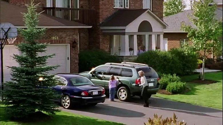 The Perfect Neighbor image