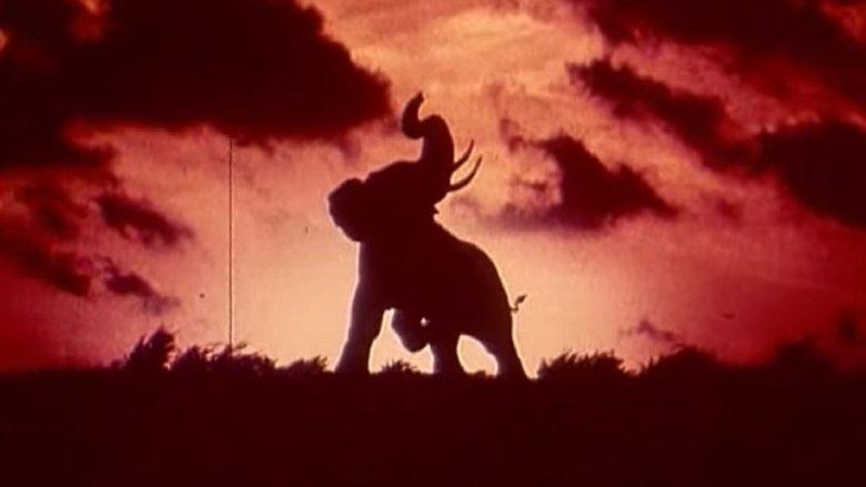 Tusk image