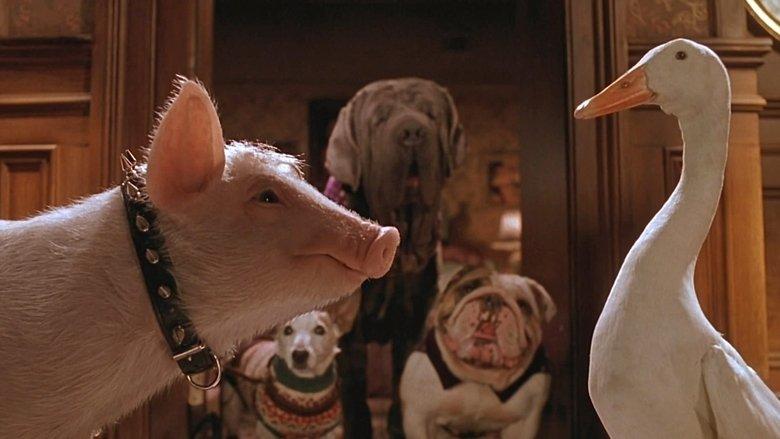 Babe: Pig in the City image