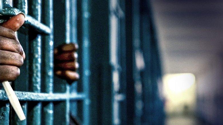 American Jail image
