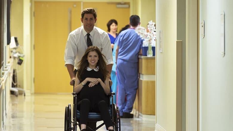 The Hollars image