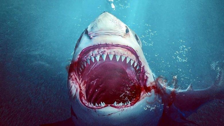 Sharkula image