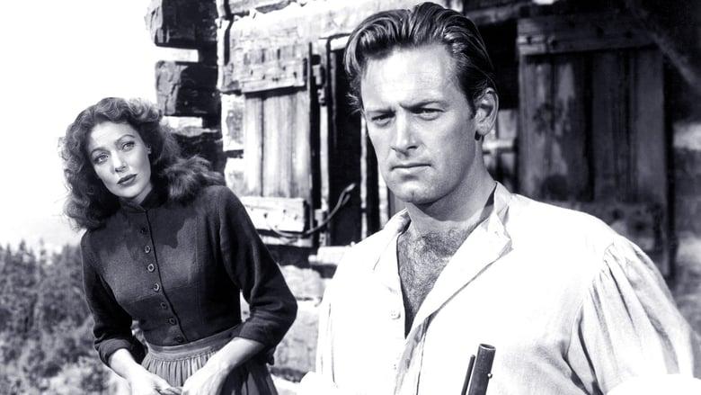Rachel and the Stranger image