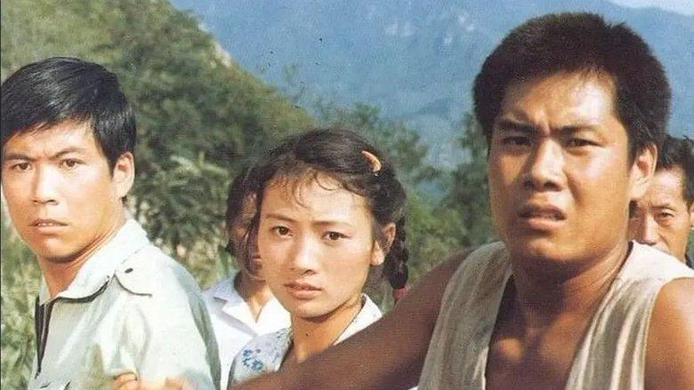 Yue Yue image