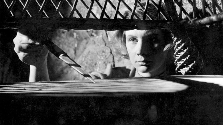 Prison image