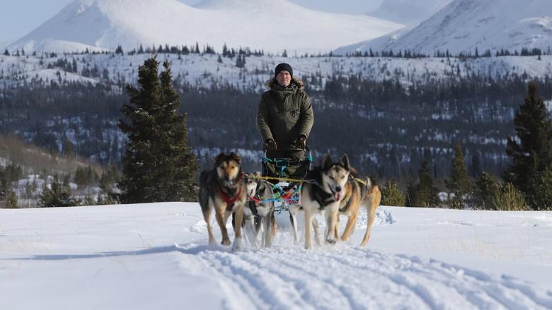 Snow Dogs image