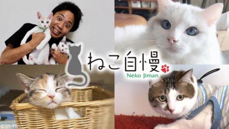 ねこ自慢 image
