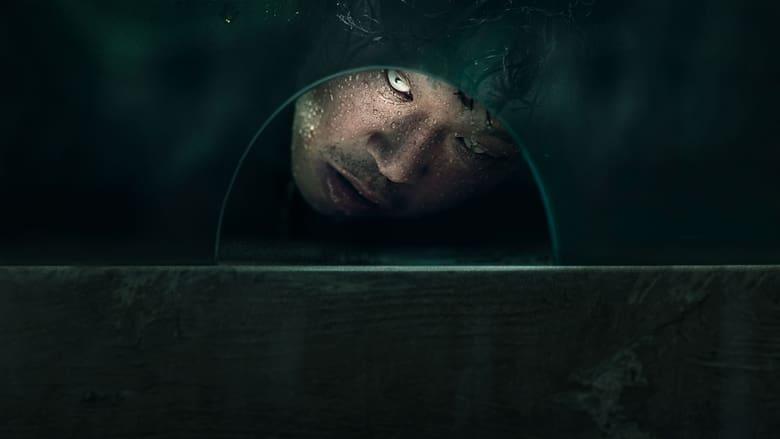 The 8th Night image