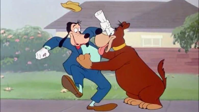 Man's Best Friend image