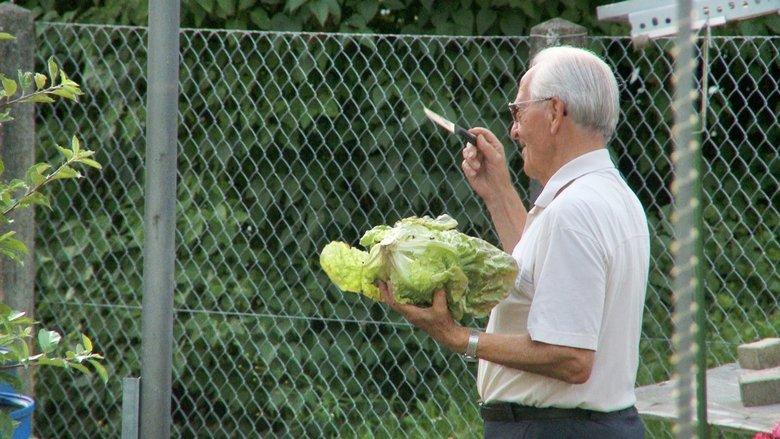 Father's Garden: The Love of My Parents image