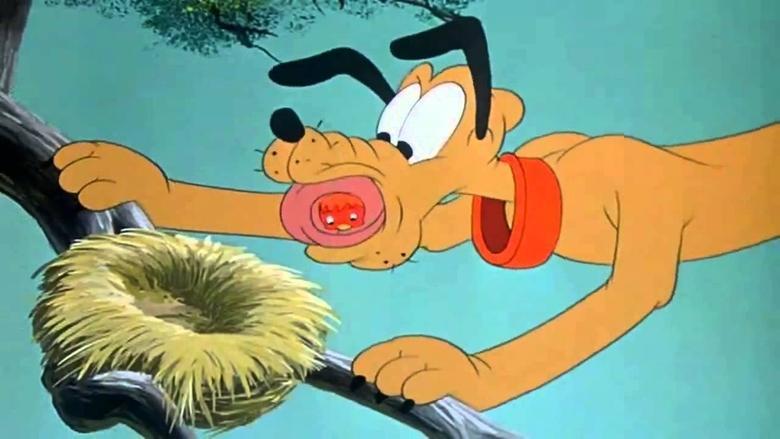 Pluto's Fledgling image