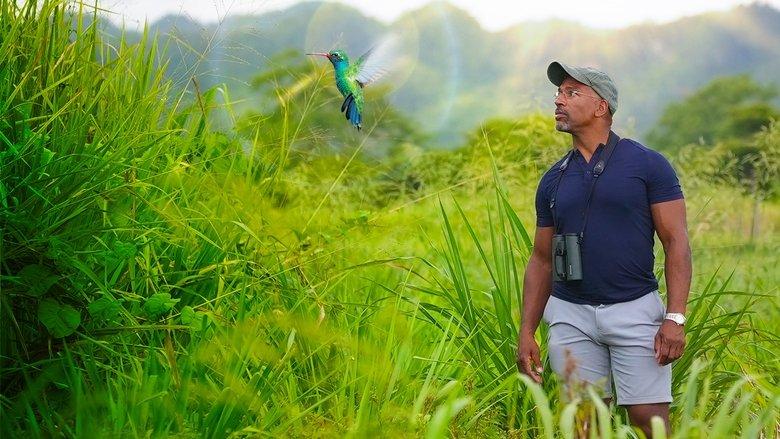 Extraordinary Birder with Christian Cooper image