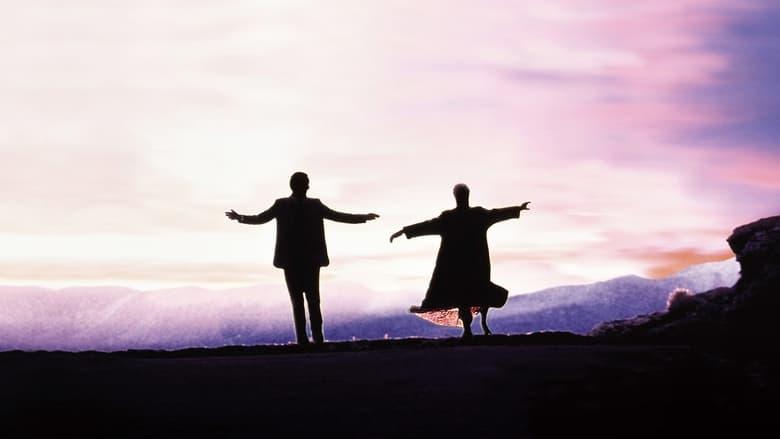 The Doctor image