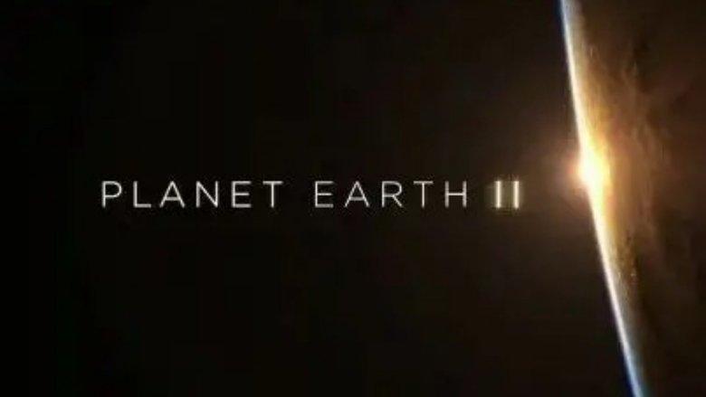 Planet Earth II: A World of Wonder image