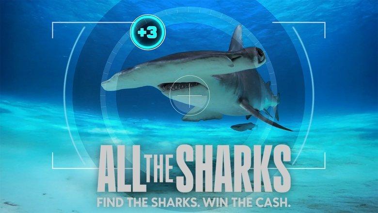 All the Sharks