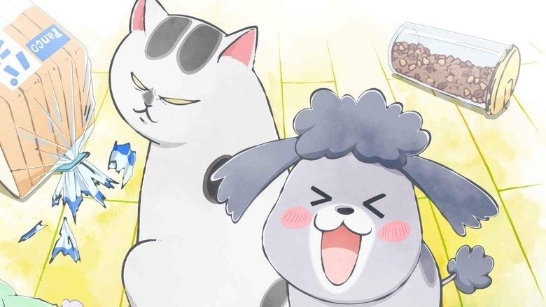 With a Dog AND a Cat, Every Day Is Fun image