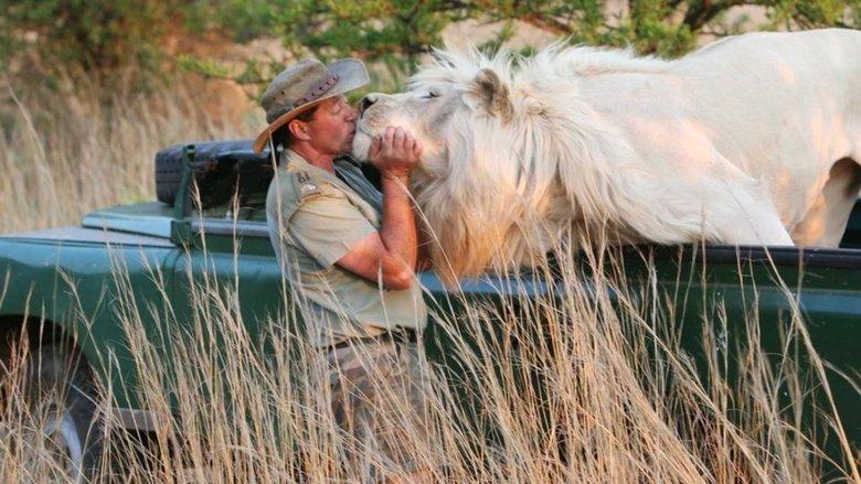 The Lion Man: African Safari image