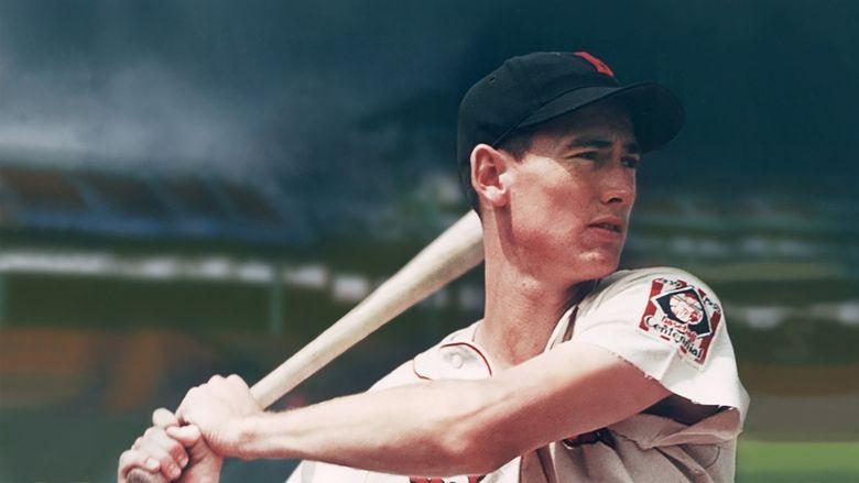 Ted Williams image