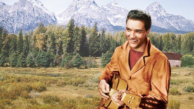 Wild in the Country image
