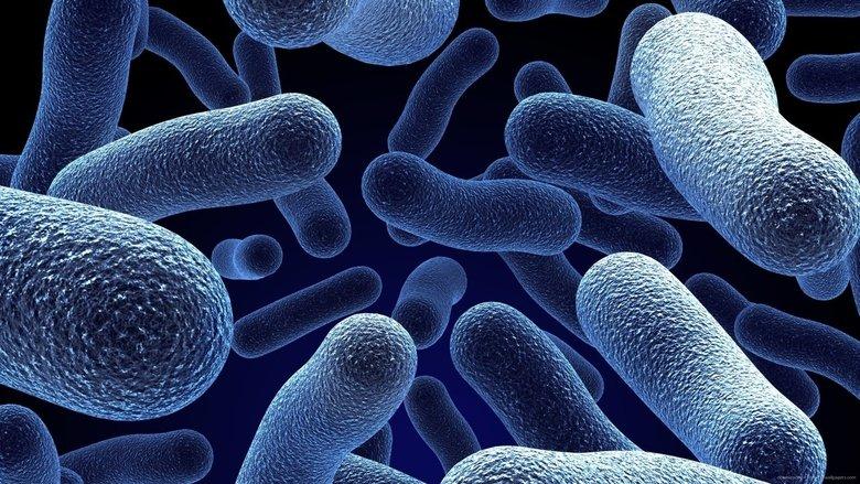 Bacterial World image