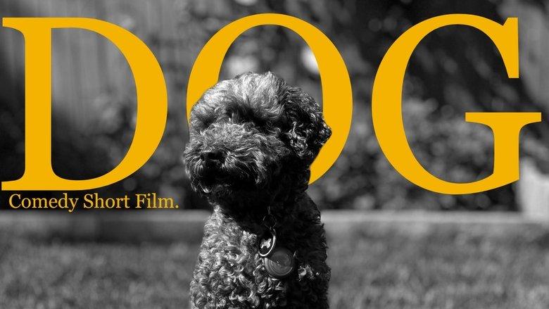 Dog (The Mockumentary) image