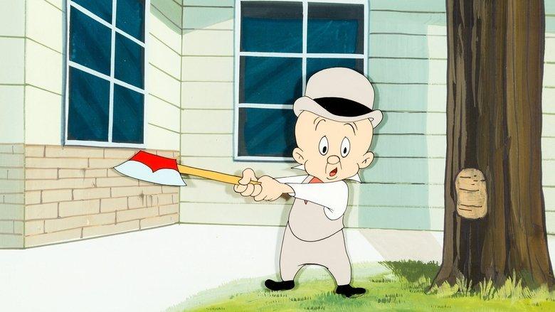 Pests for Guests image