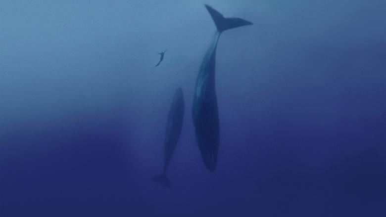Freediver image