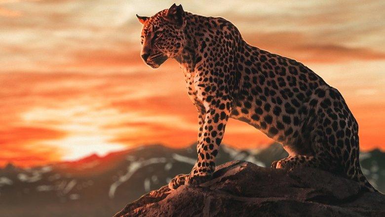 Les Petits Animaux Sauvages image