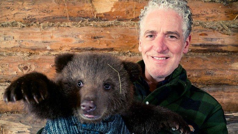 Grizzly Bear Cubs and Me image