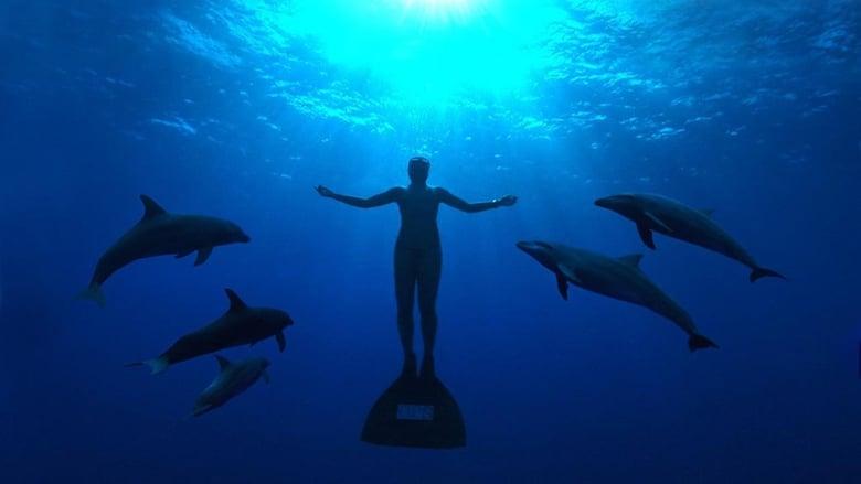 The Cove image