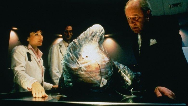 The Fly II image