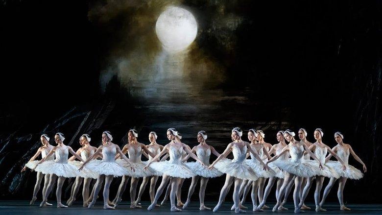 Swan Lake image
