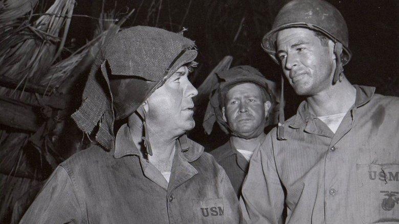 Marine Raiders image
