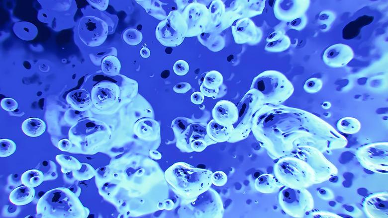 Liquid Television image