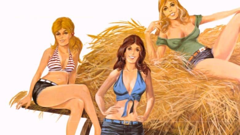 Hay Country Swingers image