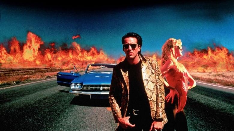 Wild at Heart image