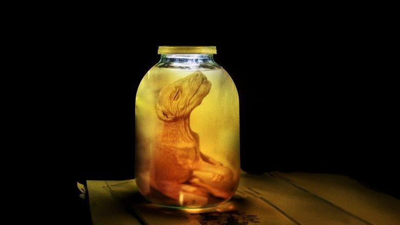 Stranger Than Nature image