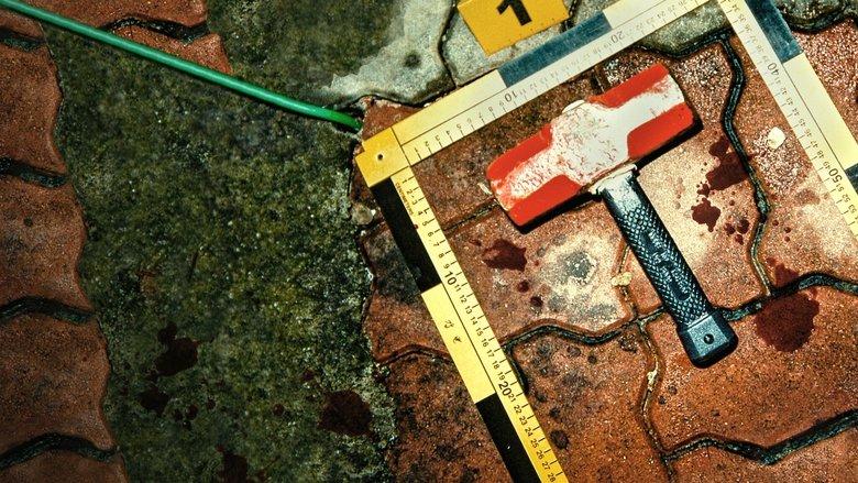 The Raincoat Killer: Chasing a Predator in Korea image