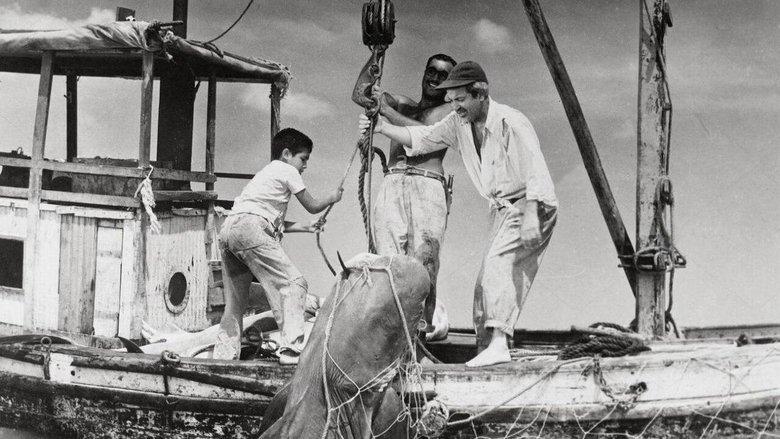 Shark Hunters image