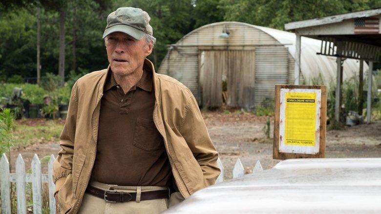 The Mule image