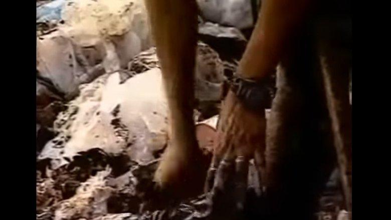 The Scavengers image