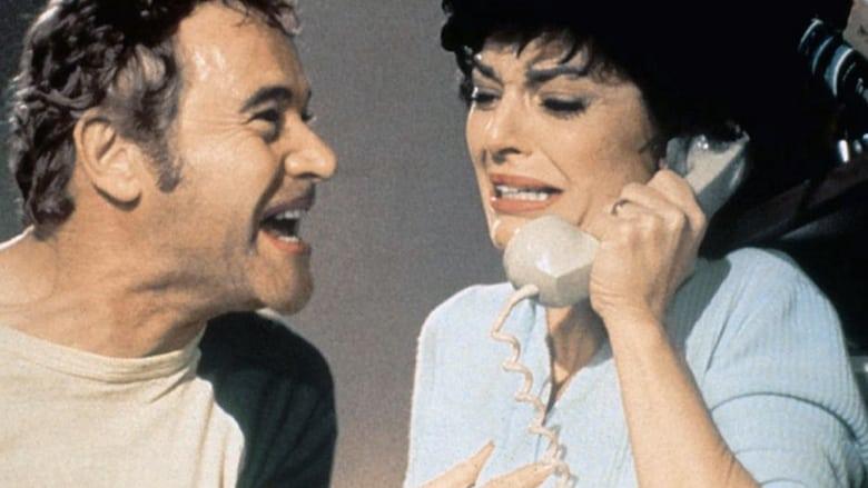 The Prisoner of Second Avenue image