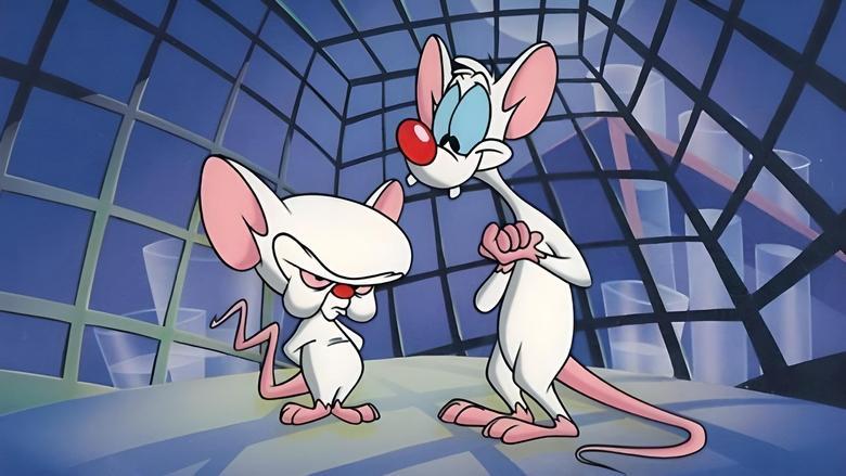 Pinky and the Brain image