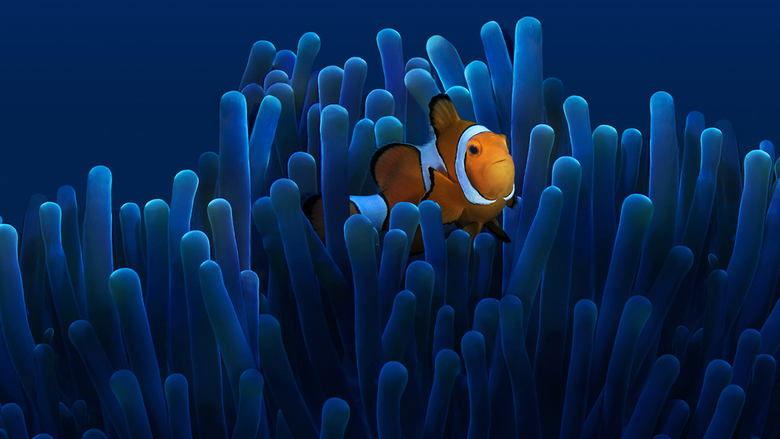 Australia's Ocean Odyssey: A journey down the East Australian Current image