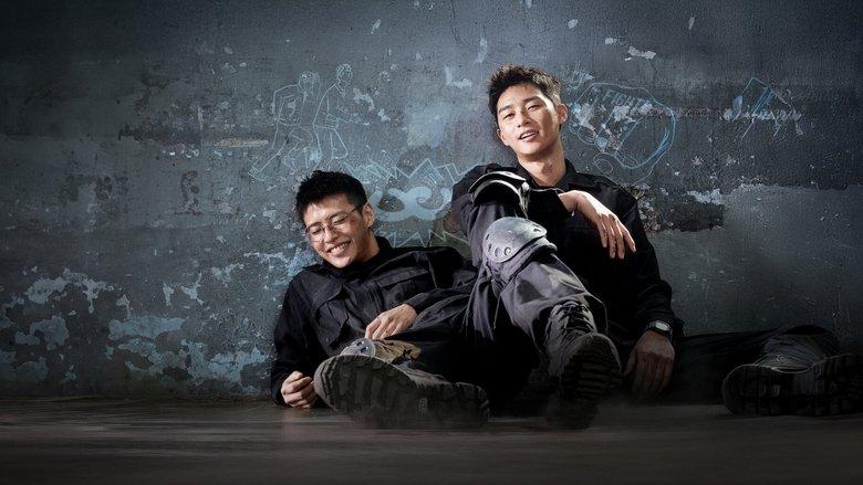 Midnight Runners image