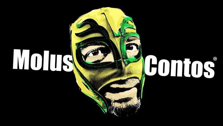 Moluscontos image