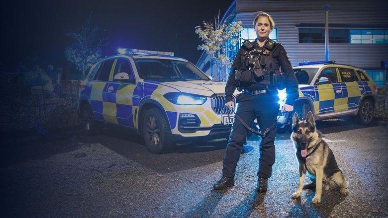 Police Interceptors image