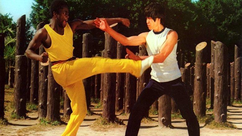 Kung Fu Executioner image