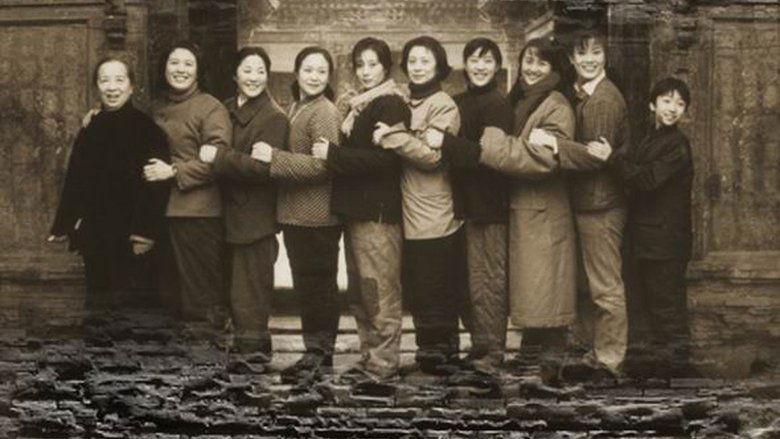 Nine Daughters in My Family image